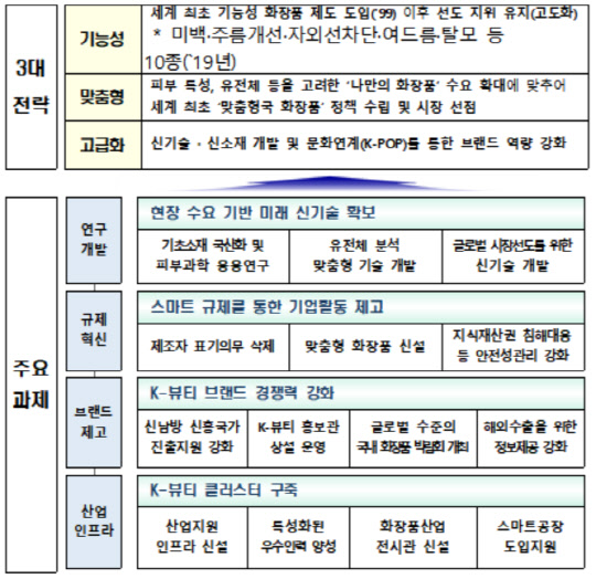 미래 화장품산업 육성방안 비전과 전략